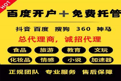 竞价广告与自然搜索的结合策略：XX网站的案例分析